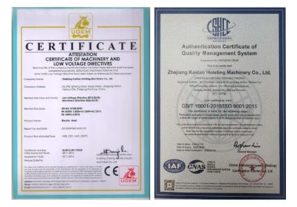 Electric Chain Hoist price